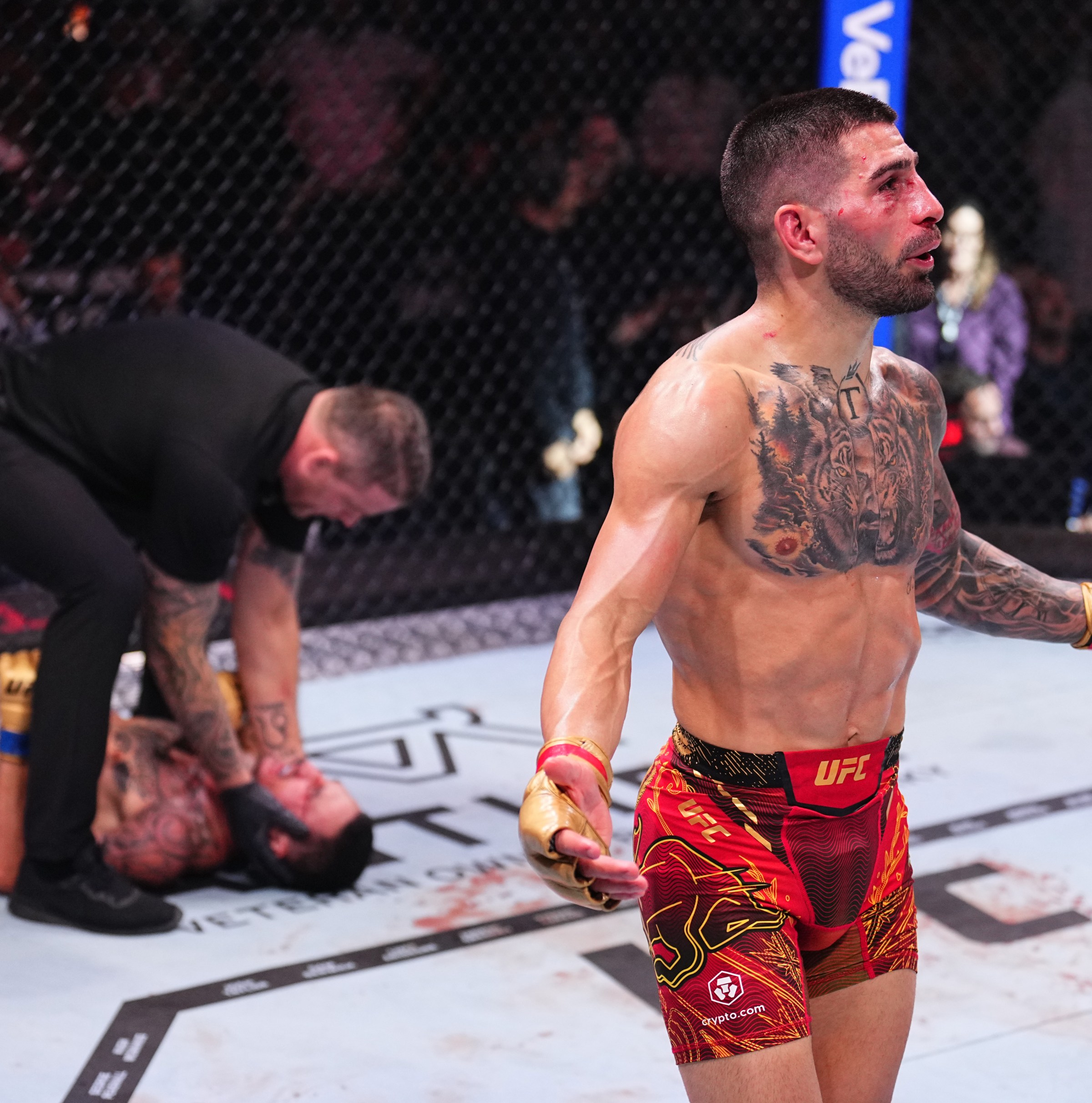 MMAF Year-End Divisional Rankings: Who were the biggest movers and shakers of 2024?