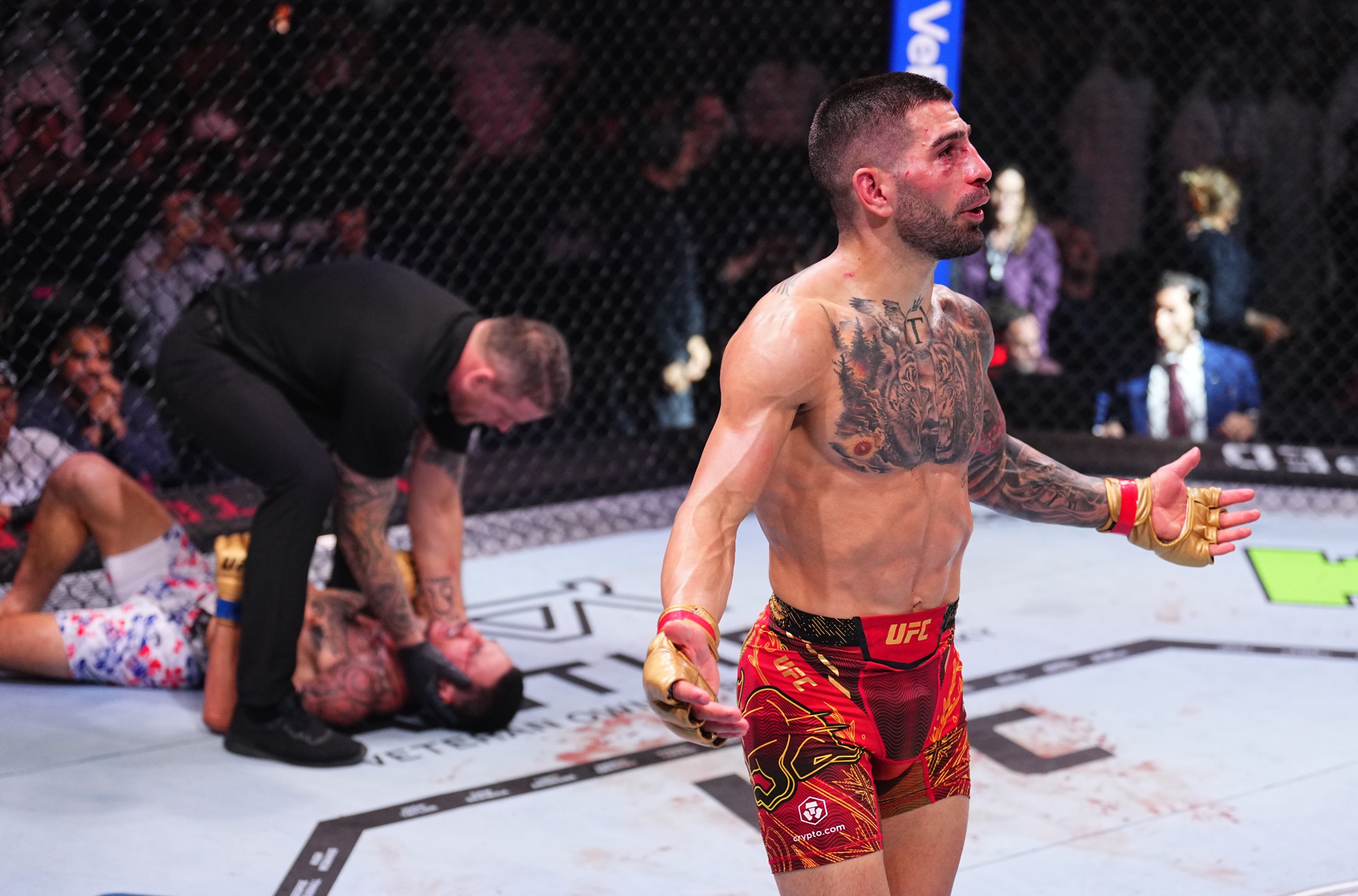 MMAF Year-End Divisional Rankings: Who were the biggest movers and shakers of 2024?