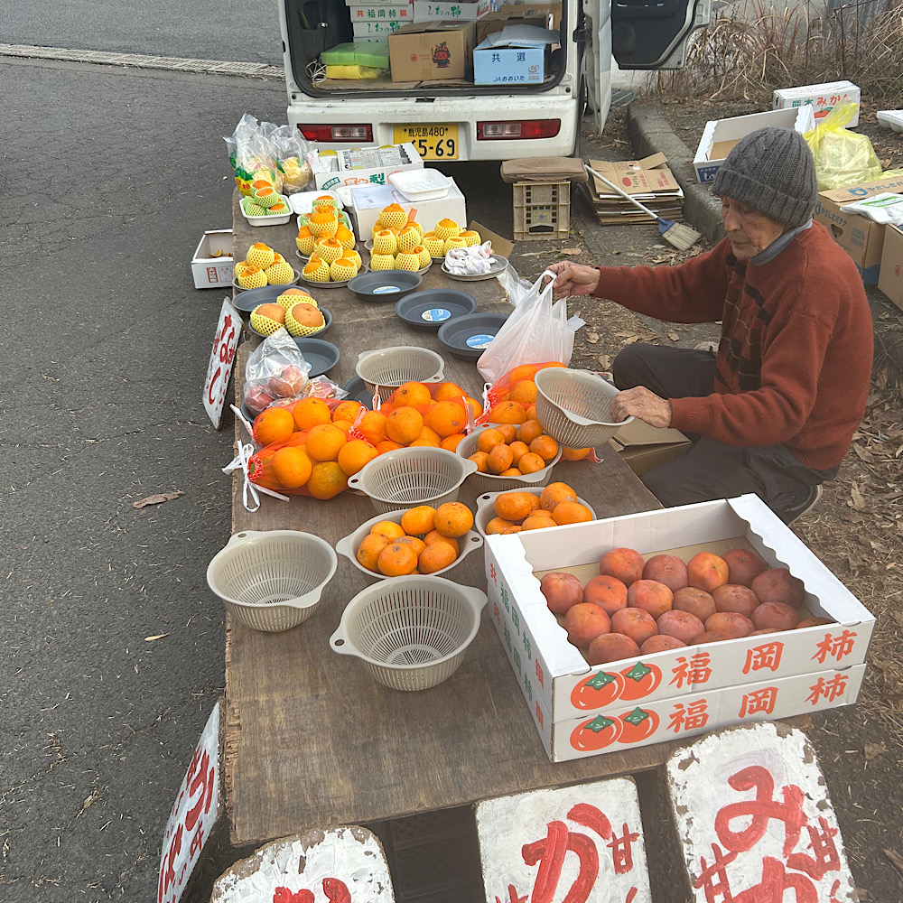 Road side grapefruit seller