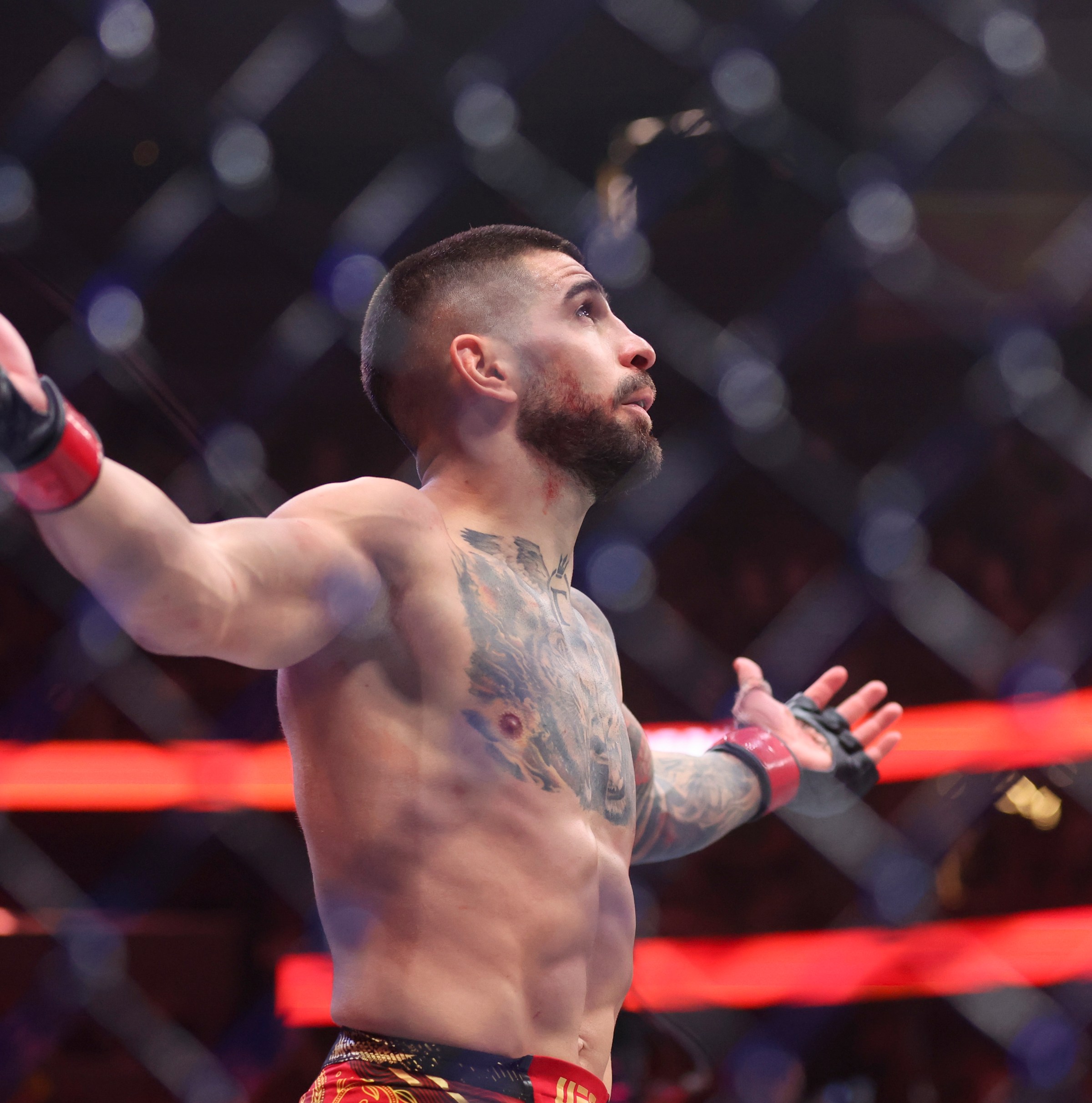 ‘The champ is back’: Ilia Topuria teases UFC return