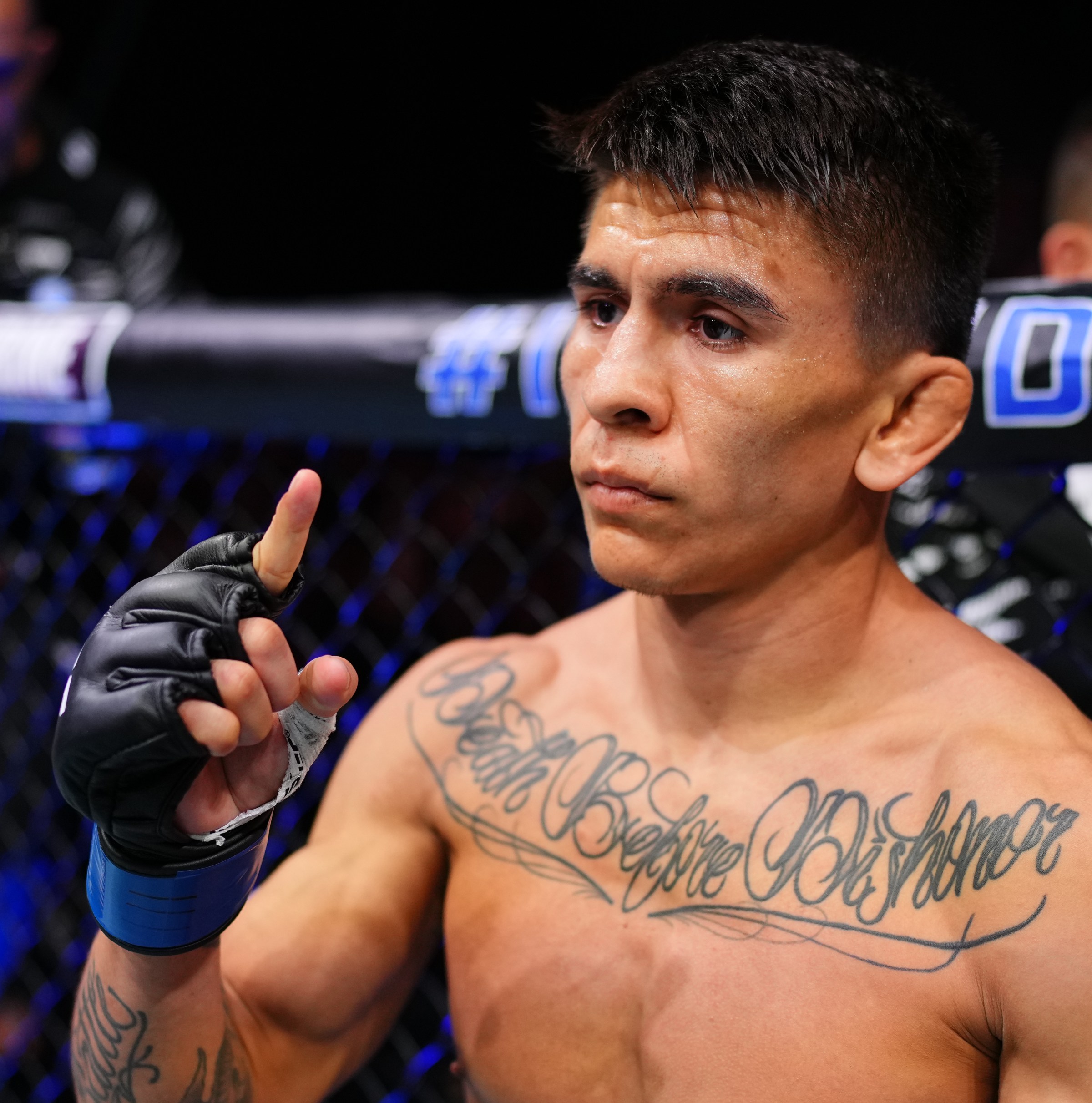 No Bets Barred: Bets bets for UFC Vegas 113