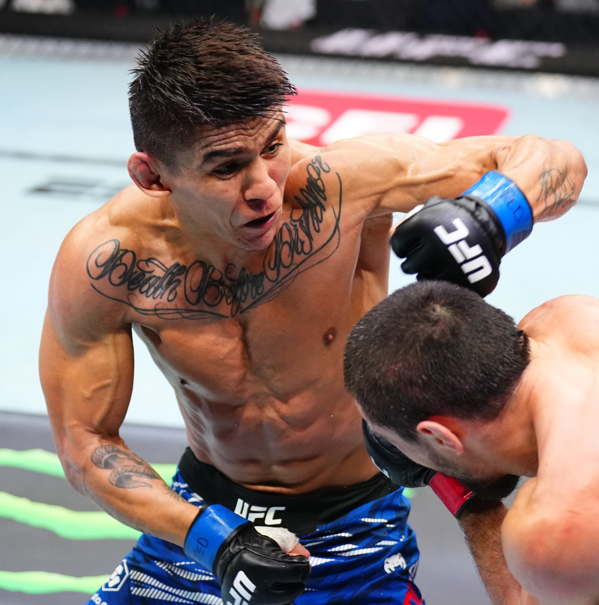 UFC Vegas 113 predictions