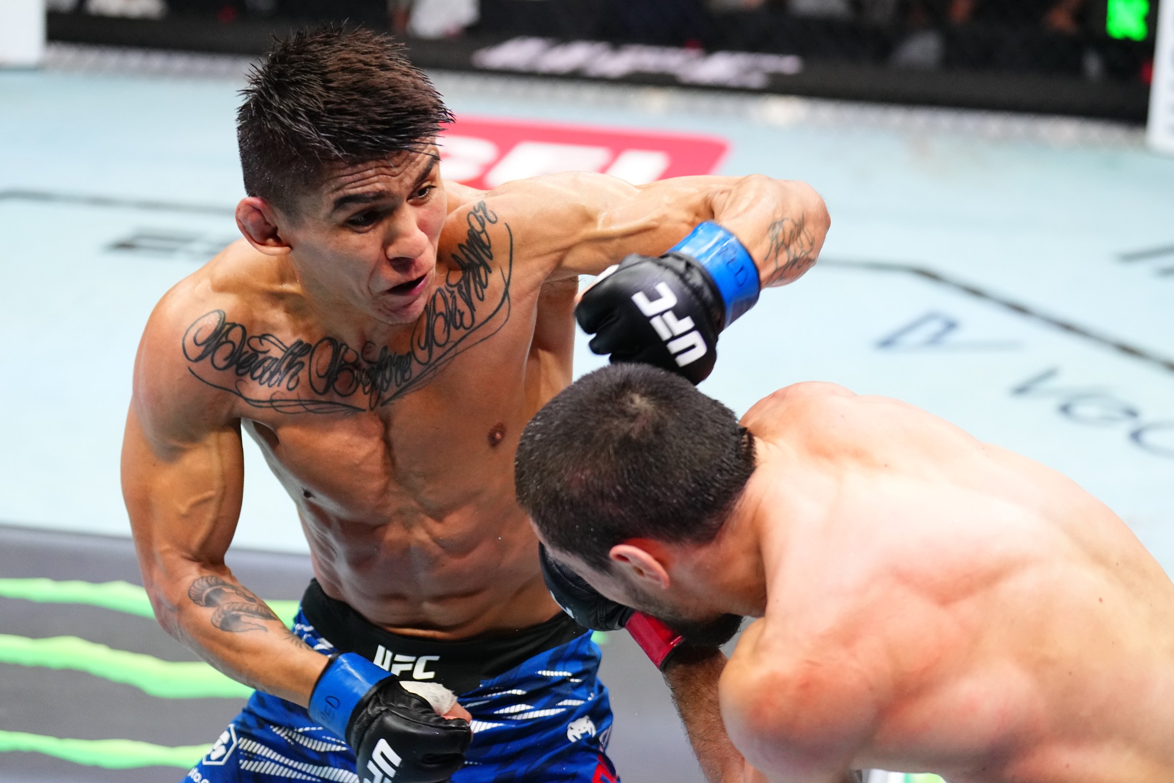 UFC Vegas 113 predictions