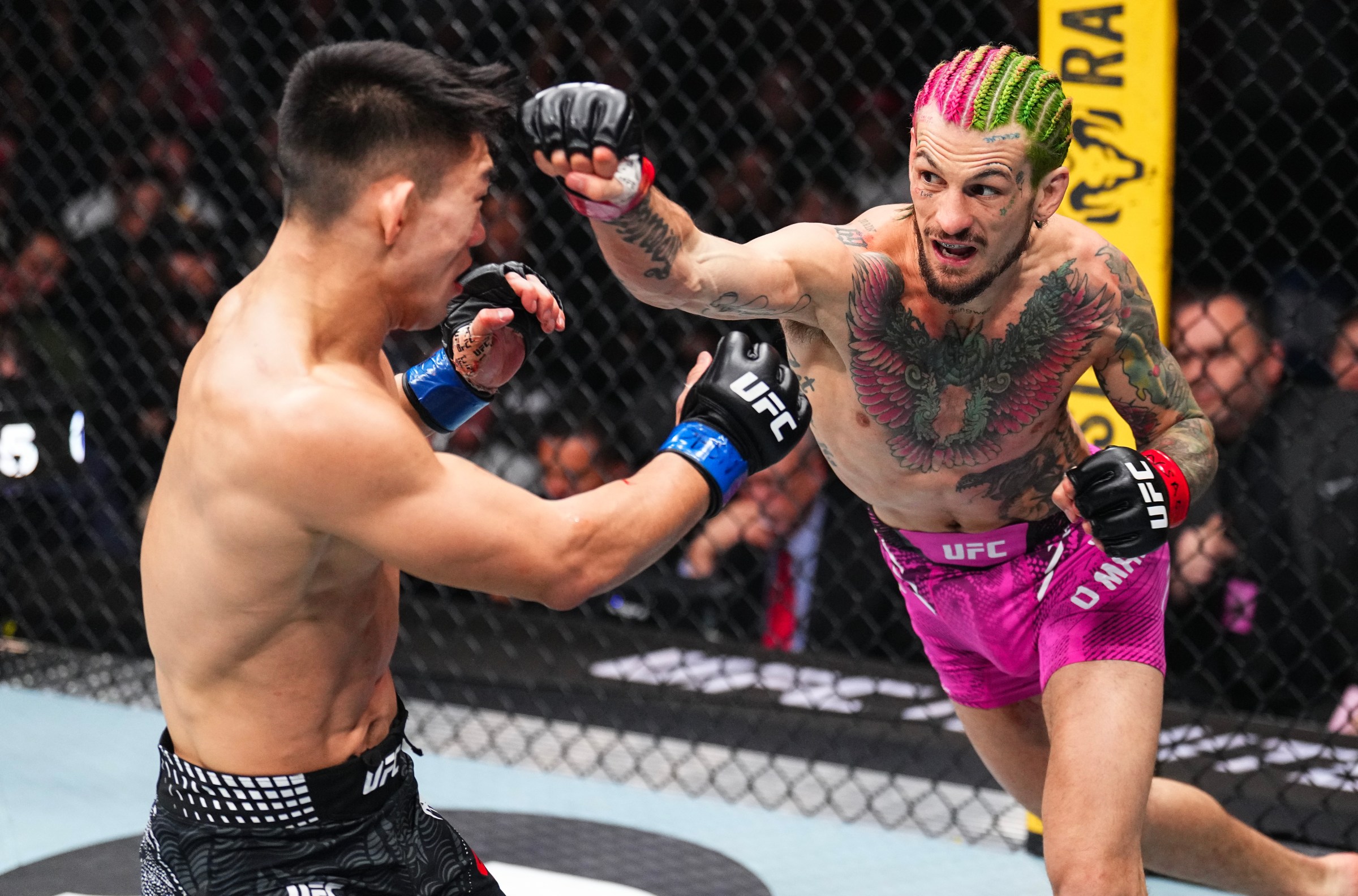 Sean O’Malley vs. Song Yadong full fight video highlights