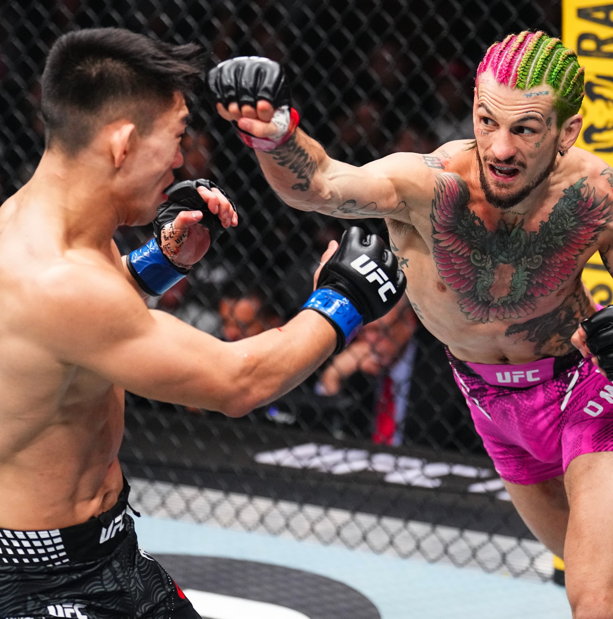 Sean O’Malley vs. Song Yadong full fight video highlights