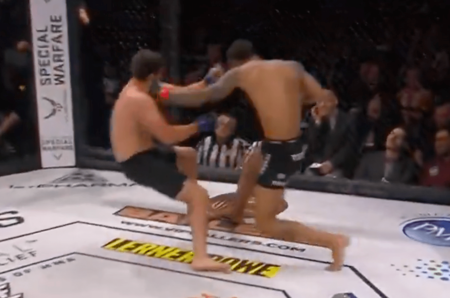 Missed Fists: UFC staff member knocks out Power Slap veteran in 4 seconds
